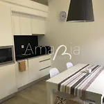 Amariacity Al *